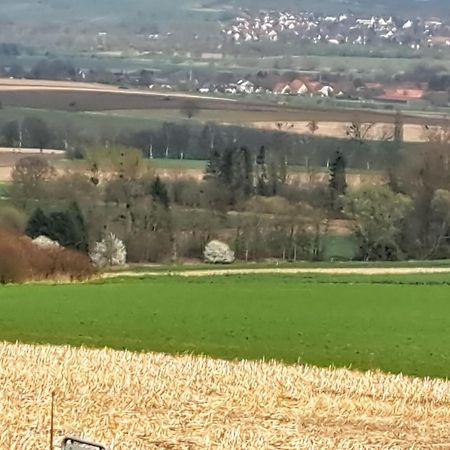 Zur Schoenen Aussicht Hamelin Exteriör bild
