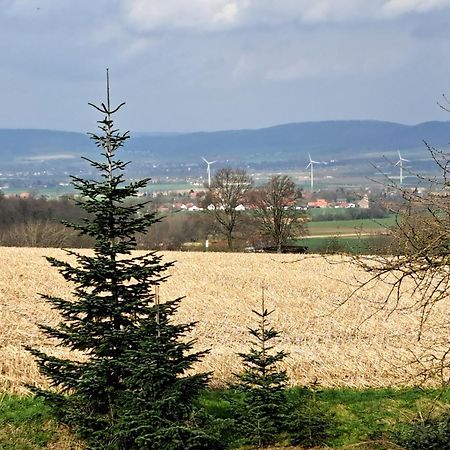 Zur Schoenen Aussicht Hamelin Exteriör bild