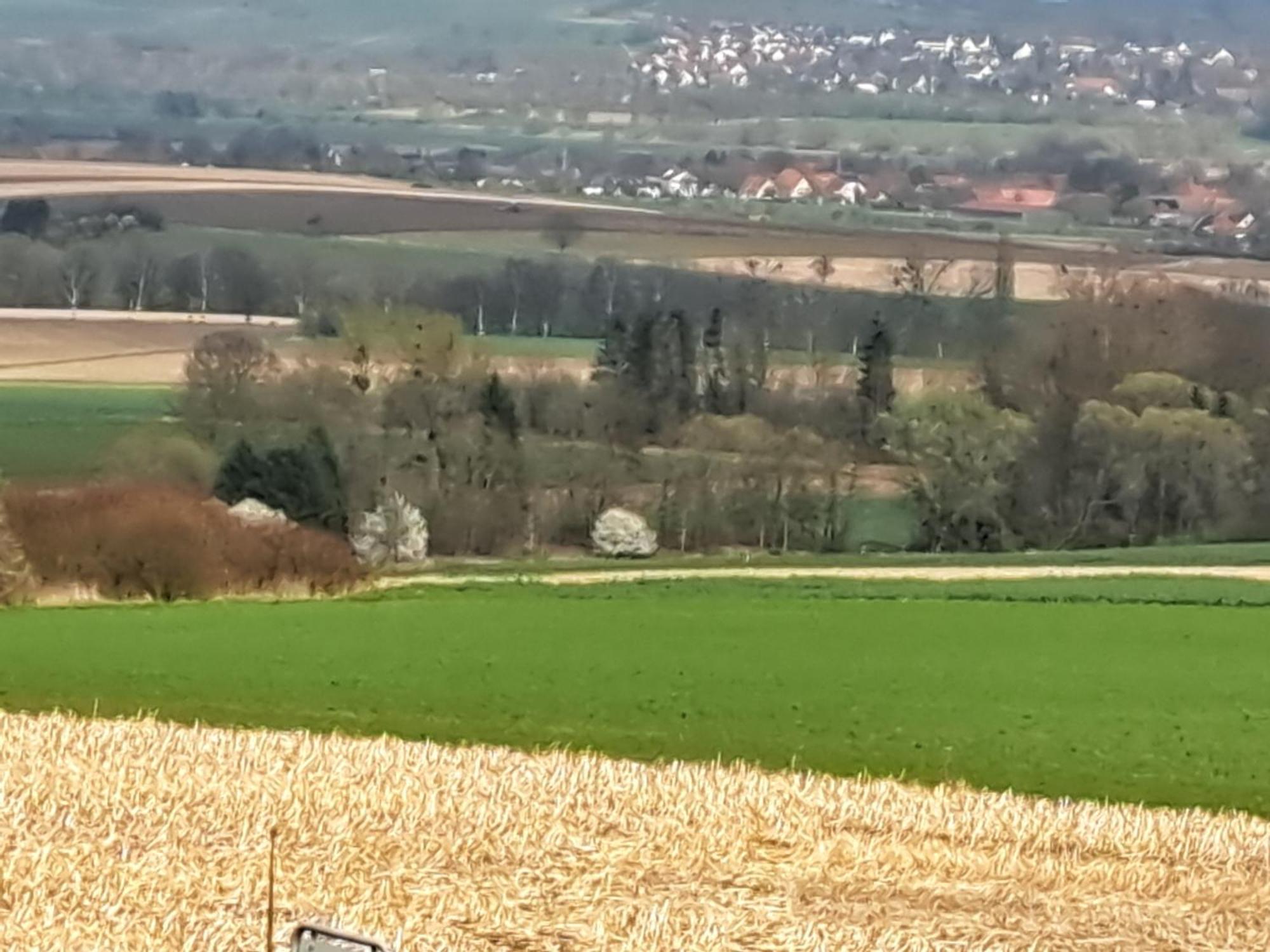 Zur Schoenen Aussicht Hamelin Exteriör bild