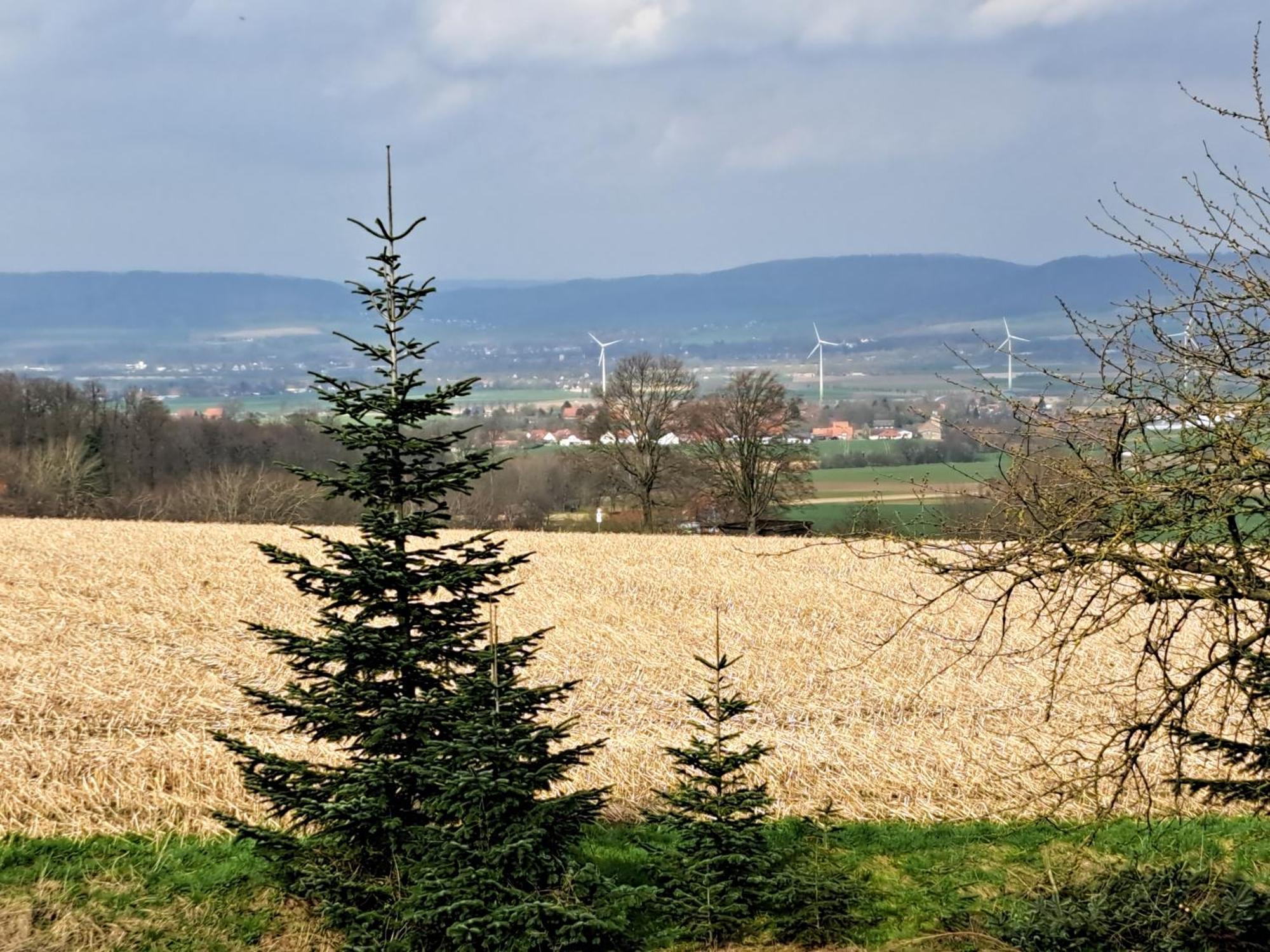 Zur Schoenen Aussicht Hamelin Exteriör bild