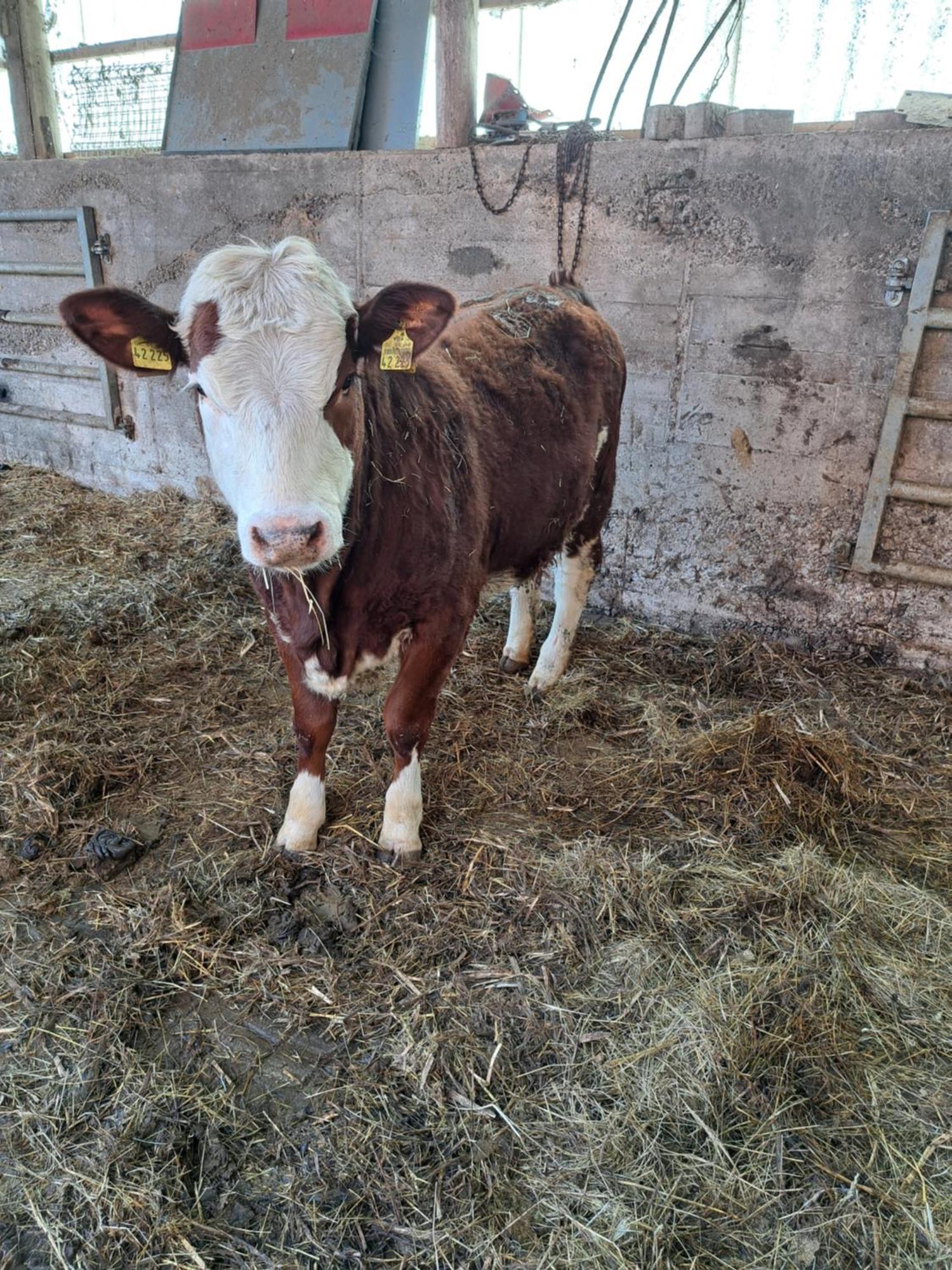 Zur Schoenen Aussicht Hamelin Exteriör bild
